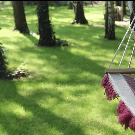 Kemp Caloroczne Lesne Pod Chmurka - Zawsze Na Wylacznosc