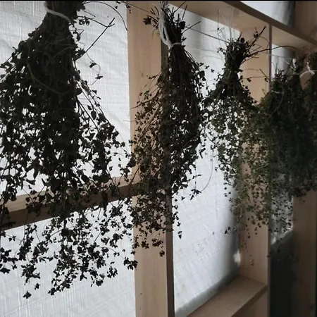 Caloroczne Lesne Pod Chmurka - Zawsze Na Wylacznosc * Krepa (Piaseczno)