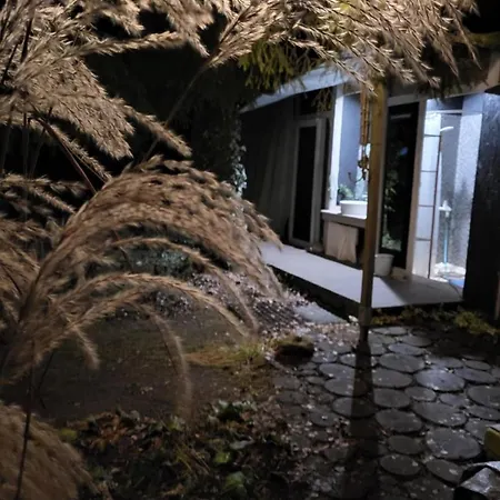 Caloroczne Lesne Pod Chmurka - Zawsze Na Wylacznosc