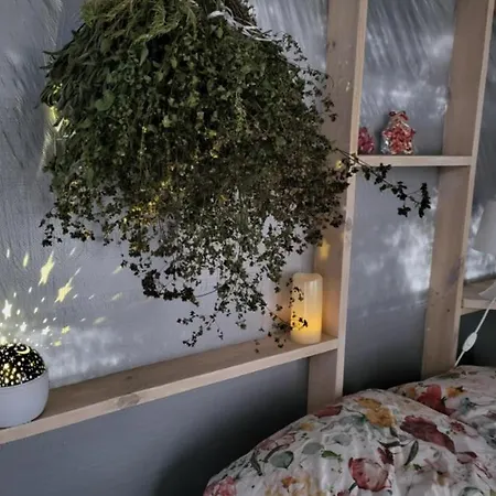 Caloroczne Lesne Pod Chmurka - Zawsze Na Wylacznosc Krepa (Piaseczno)