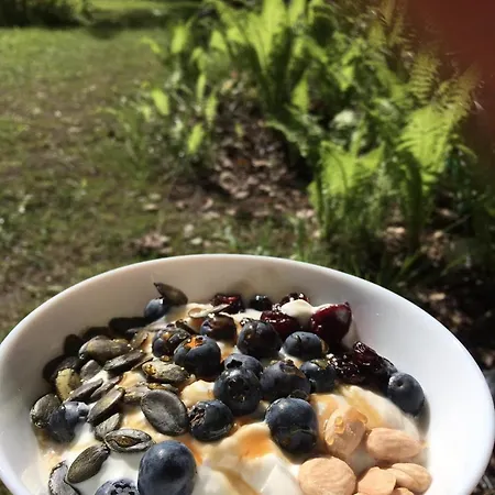 Kemp Caloroczne Lesne Pod Chmurka - Zawsze Na Wylacznosc Krepa (Piaseczno)