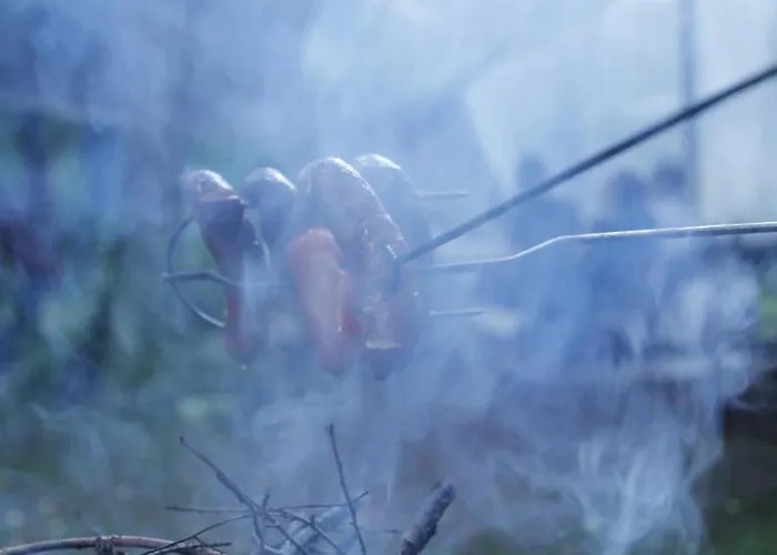 Caloroczne Lesne Pod Chmurka - Zawsze Na Wylacznosc Camping Krepa (Piaseczno)