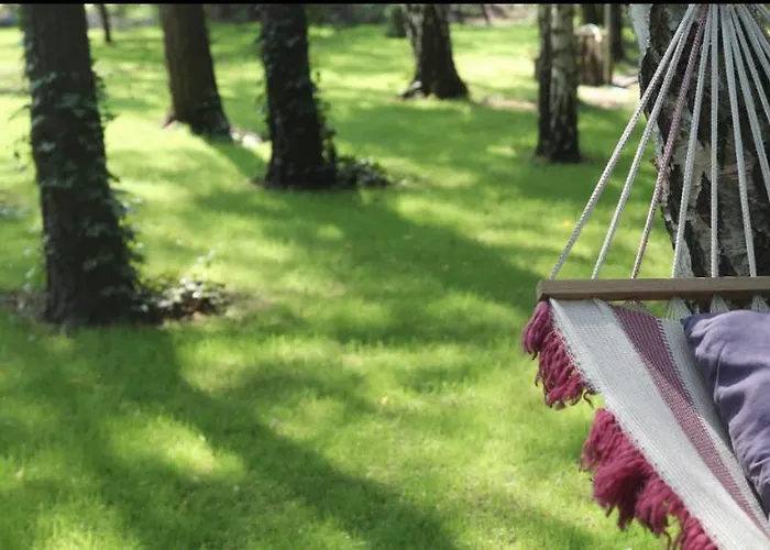 Camping Caloroczne Lesne Pod Chmurka - Zawsze Na Wylacznosc