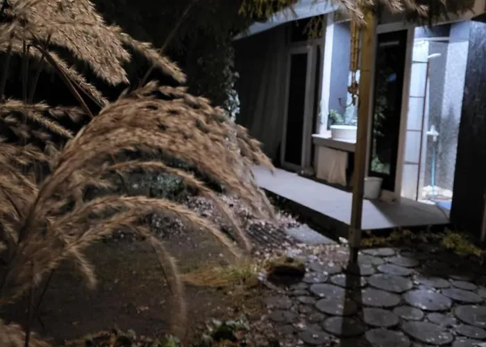 Caloroczne Lesne Pod Chmurka - Zawsze Na Wylacznosc