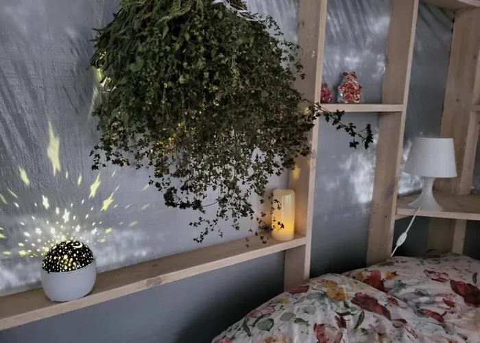 Caloroczne Lesne Pod Chmurka - Zawsze Na Wylacznosc Krepa (Piaseczno)