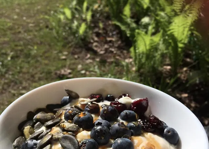 Camping Caloroczne Lesne Pod Chmurka - Zawsze Na Wylacznosc Krepa (Piaseczno)