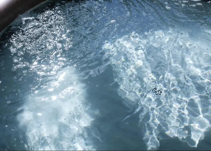 Caloroczne Lesne Pod Chmurka - Zawsze Na Wylacznosc